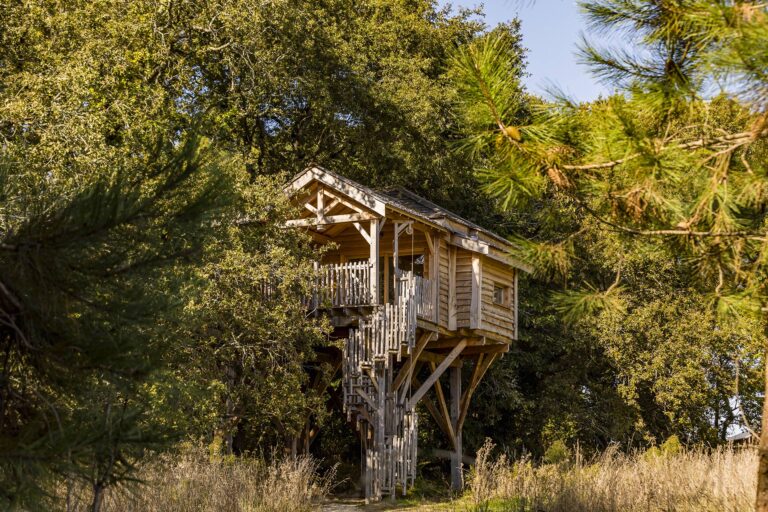 Cabane spa Neizh perchée dans les pins
