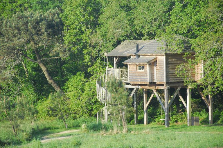 Cabane perchée En Ty dans les arbres